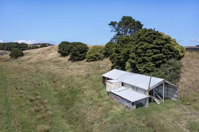 1075 Te Akau Road Te Akau_3