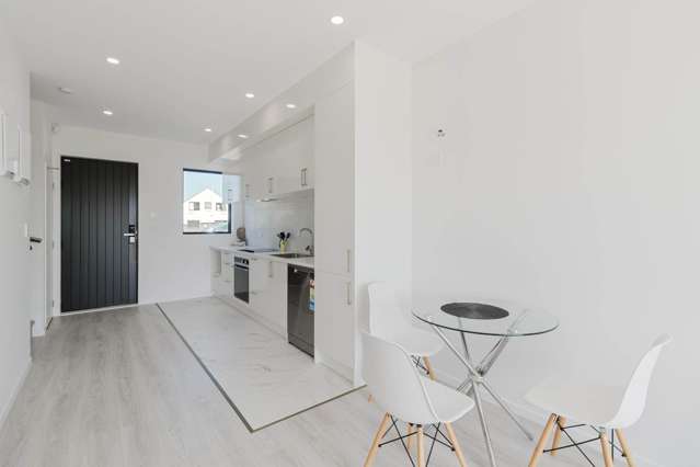 4/17 Barneys Farm Road Clendon Park_4