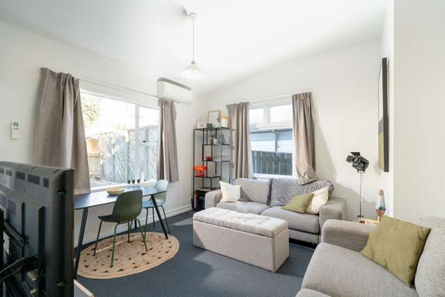 Spacious 1 Bed in Mt Vic with Carpark