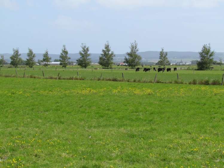 354 Access Road Ruawai_6