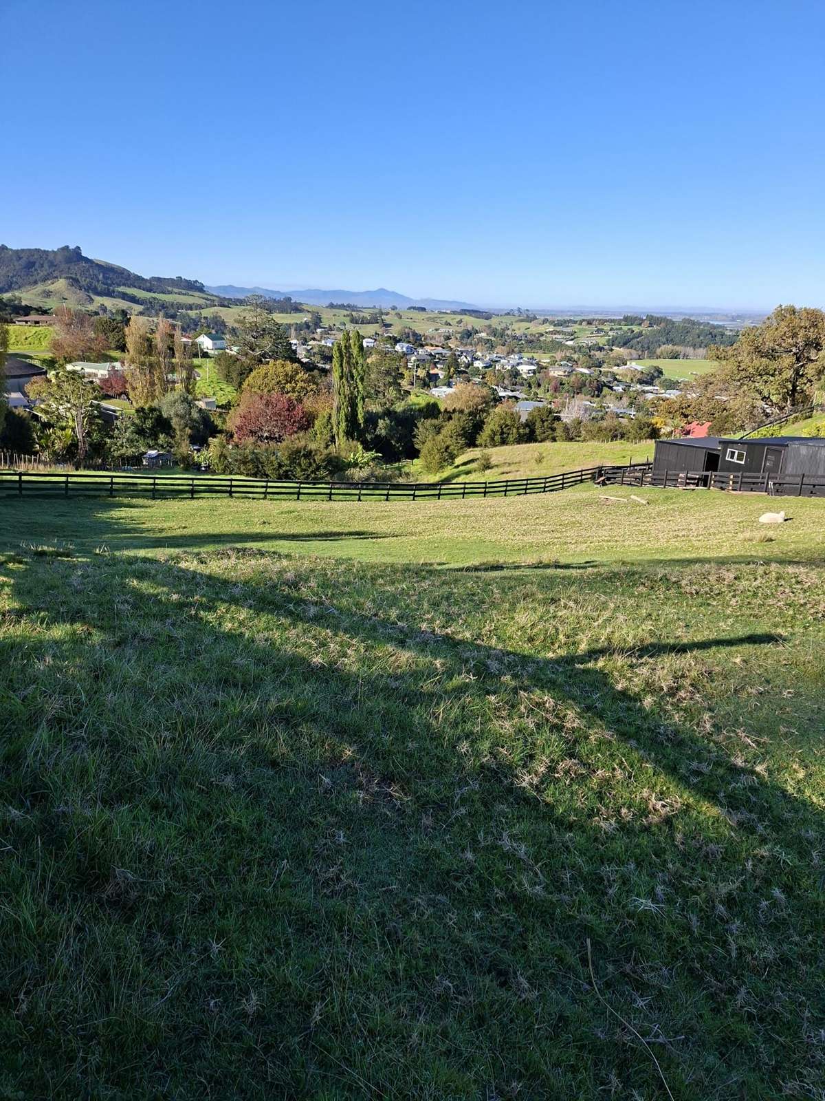 306A Grafton Road_5