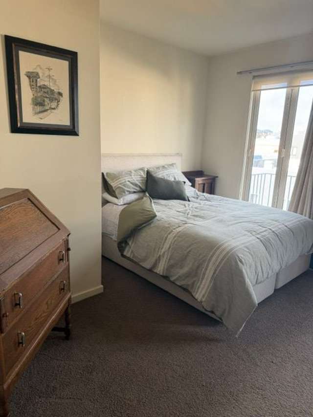 42 Vivian Street Te Aro_1