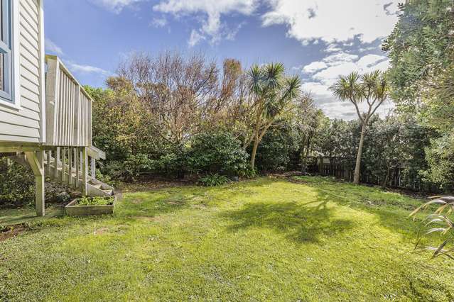 25 Pinnacle Street Seatoun_1