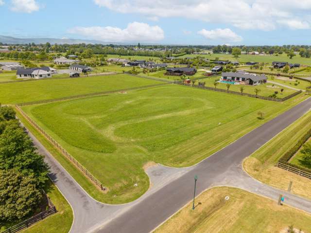 Make your dreams a reality