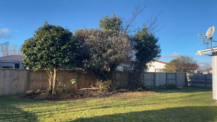 9B Atkinson Street Normanby_1