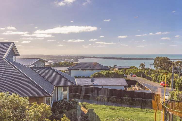 116 Major Hornbrook Road Mount Pleasant_16