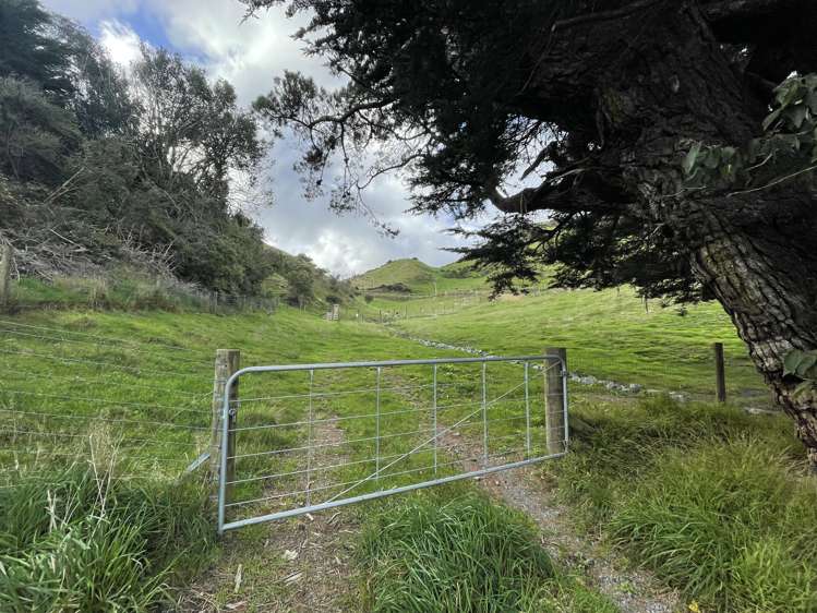 340 South Makara Road Makara_7