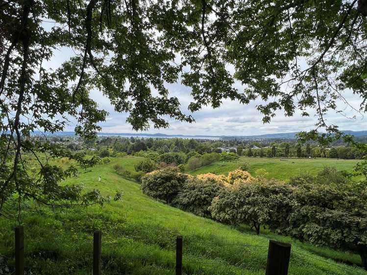 19 Exeter Place Tihiotonga_11