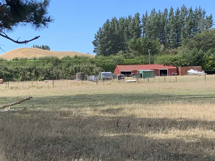 113 Ward Road Cheviot_14