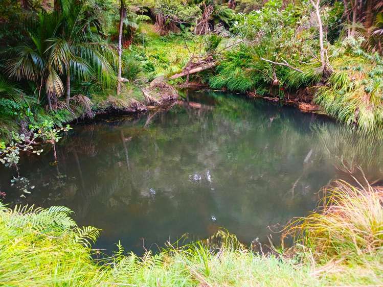 153 Champion Road Kaingaroa_3