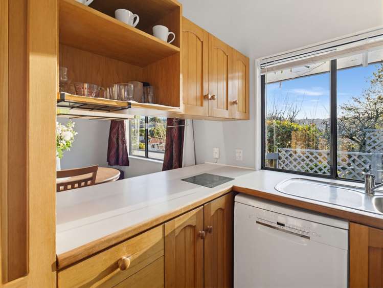 25 Alfred Street Nelson South_7