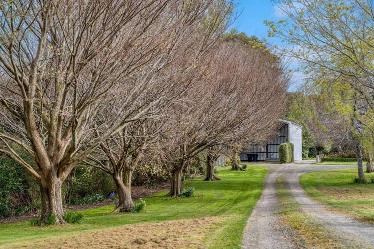 3660 Waipahi Highway Wairuna_31