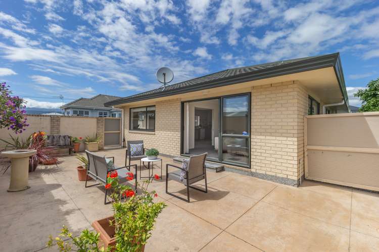 61a Salisbury Street Levin_13