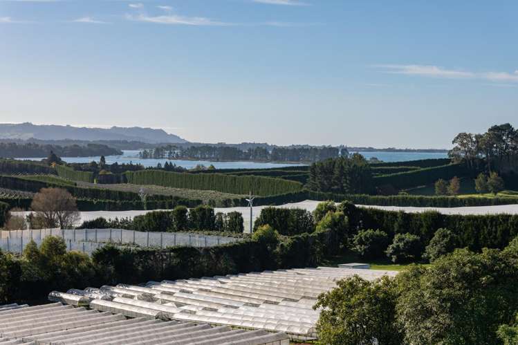 107 Ongare Point Road Katikati_8