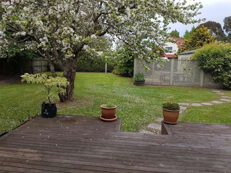 517 Avonhead Road Avonhead_15