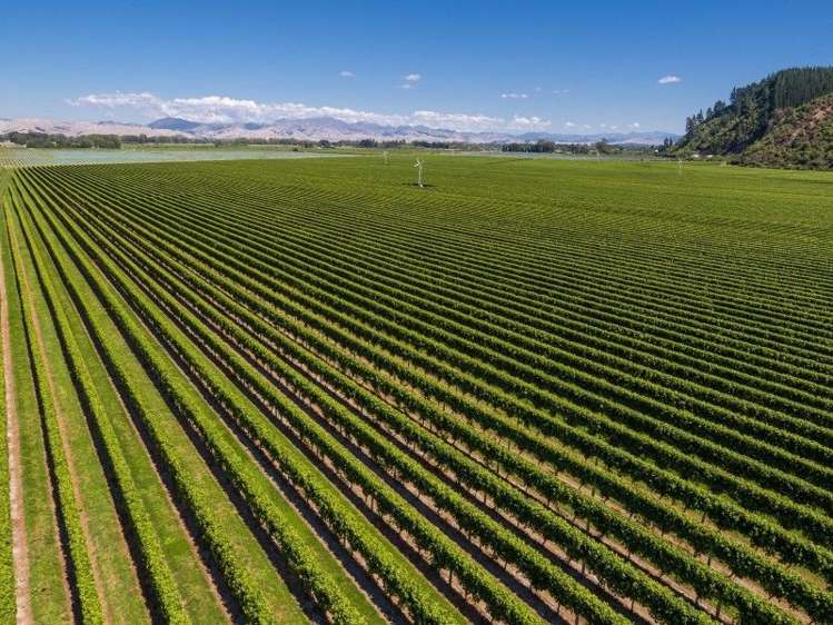 75 Pembers Road Tuamarina_6