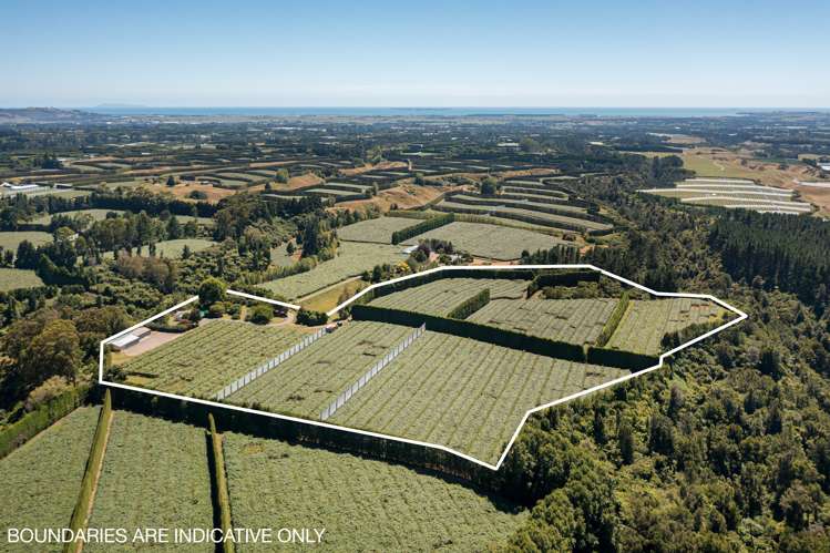 881b Te Matai Road Te Ranga_12