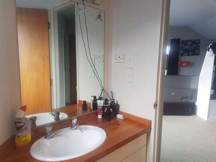 55 Lowry Avenue Redwood_19