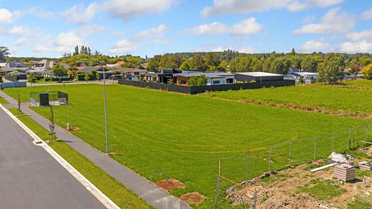 Carlisle Estate Tinwald_13