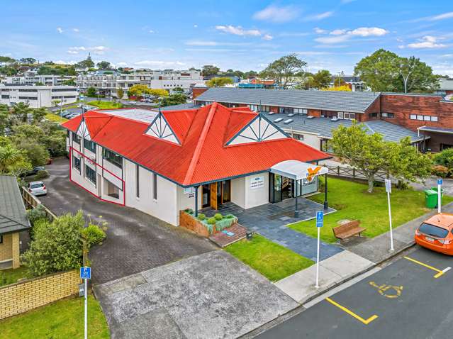 Split-risk Howick medical investment