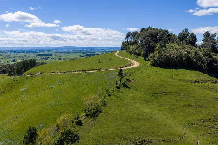 656 Waotu Road South Putāruru_19