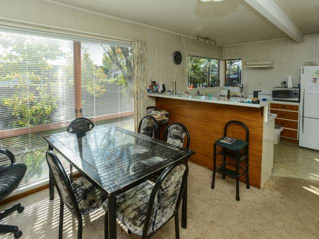 19 Freyberg Avenue Tamatea_3