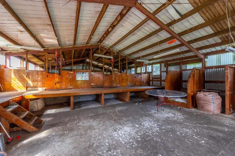 773 Cat Hill Road Cheviot_13