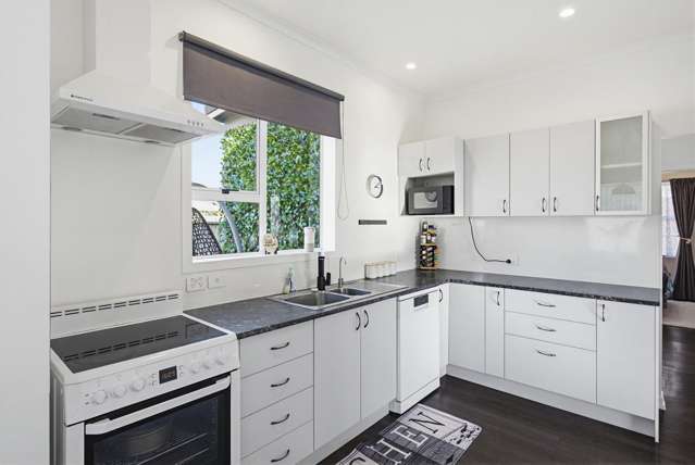 38 Princes Street Levin_1