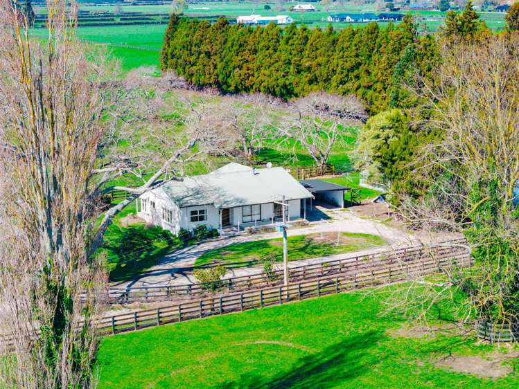 122 Rotoorangi Road Cambridge_30