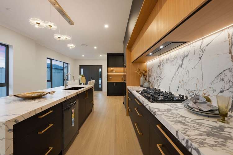 217A Murphys Road Flat Bush_10