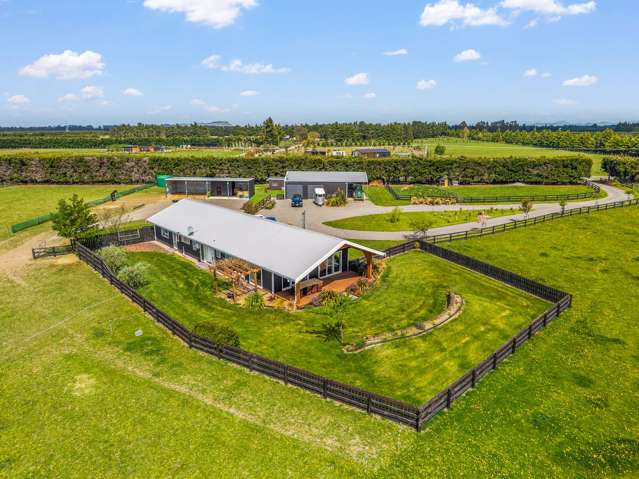 Live, Work & Play on 11 Acres