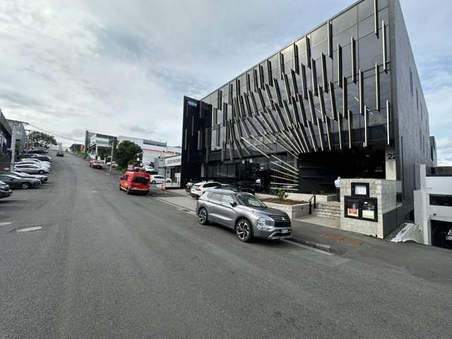 22 Pollen Street Grey Lynn_1