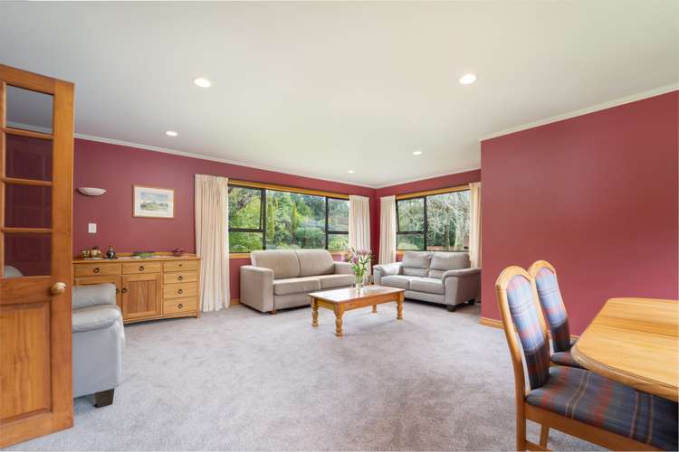 54 Tararua Drive Upper Plain_5