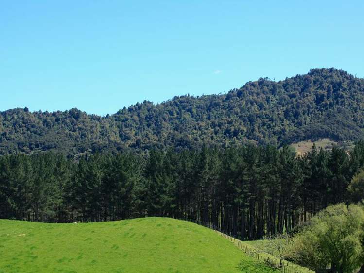 70a Clark Road Ngaruawahia_13