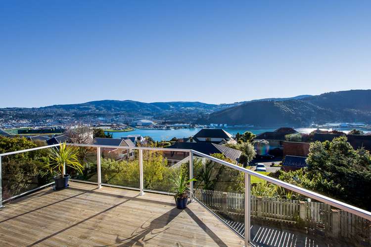 215 Larnach Road Waverley_19