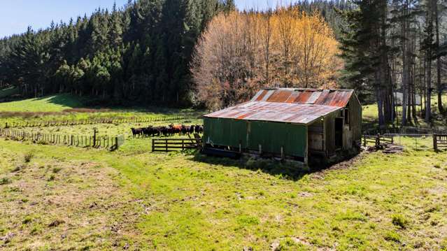 UNIQUE CARBON FORESTRY AND LIFESTYLE OPPORTUNITY