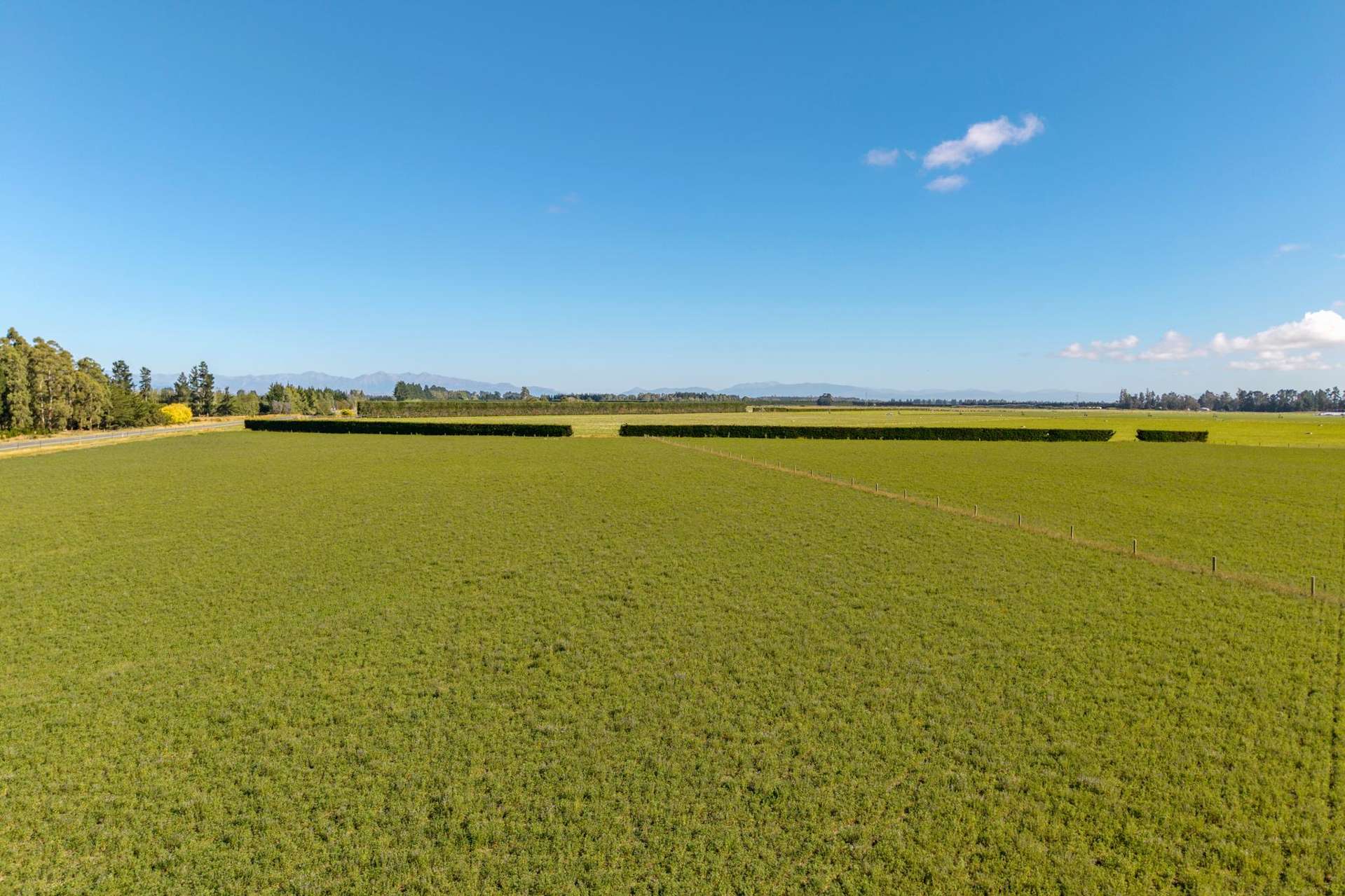 638 Telegraph Road Charing Cross_0