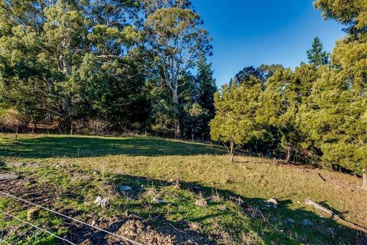 308b Cones Road Loburn_12