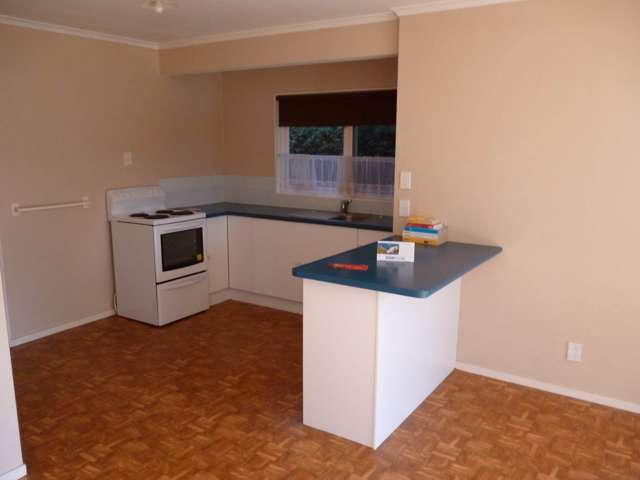 1 Bedroom Downstairs Unit