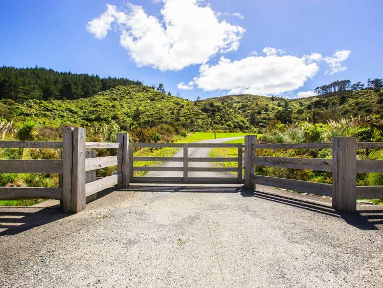 1612m Pakiri Road Tomarata_19