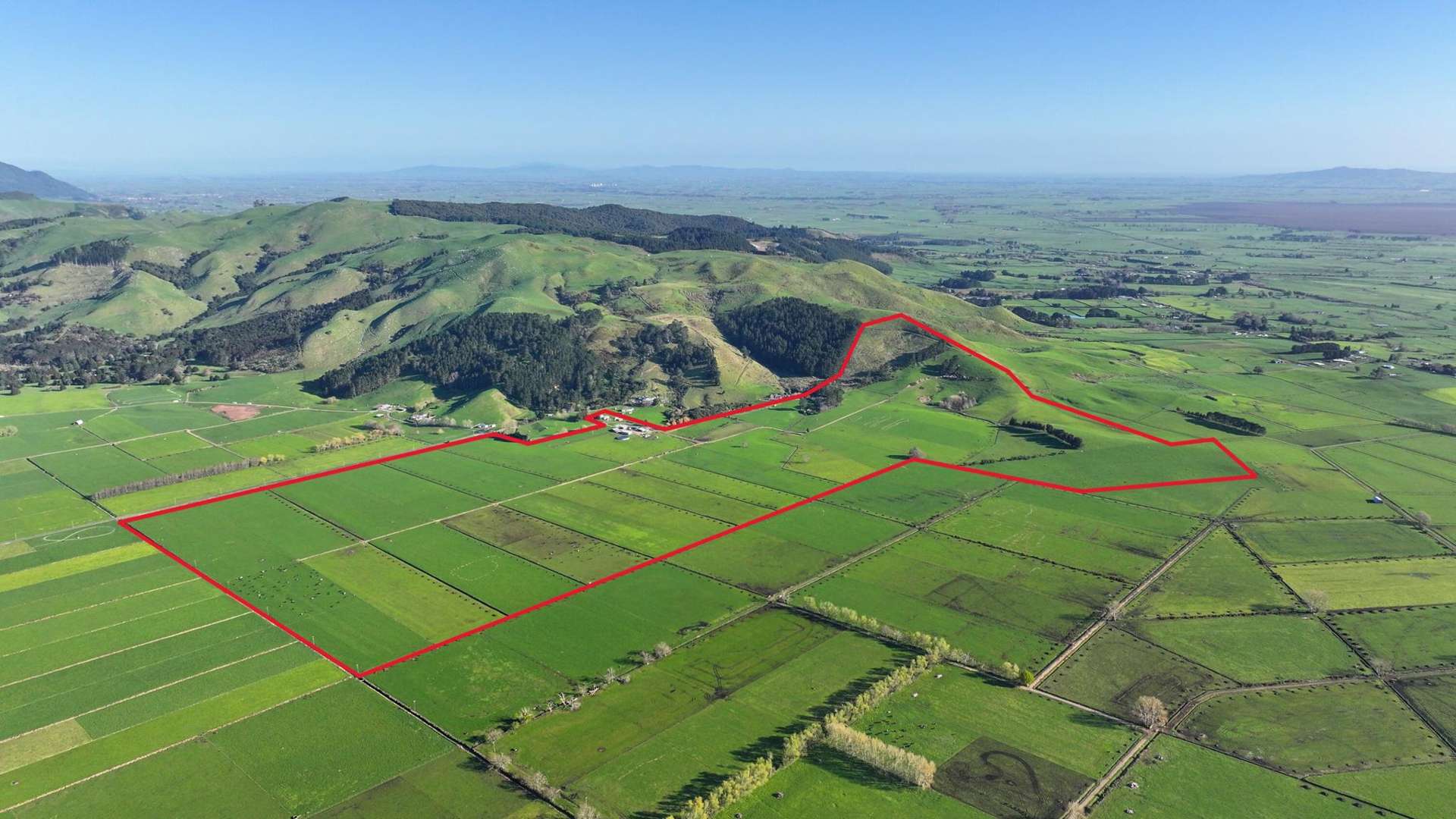 181D Thorp Road Paeroa_0