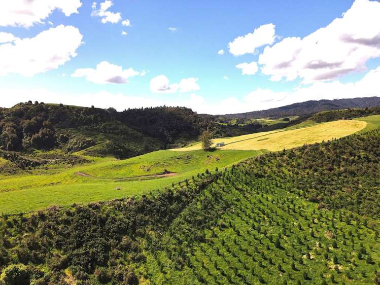 1/1745 Arapuni Road Parawera_16