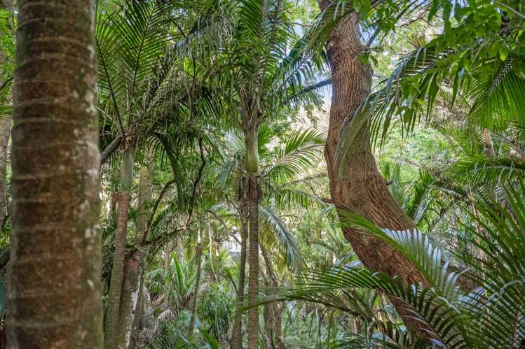 18 Warrington Road Remuera_23