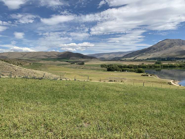 3570 Omarama-Otematata Road Otematata_15