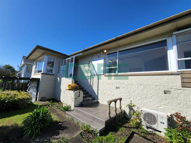 219 Pakuranga Rd Pakuranga_1