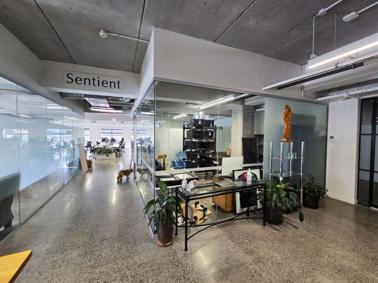 20 Augustus Terrace Parnell_4