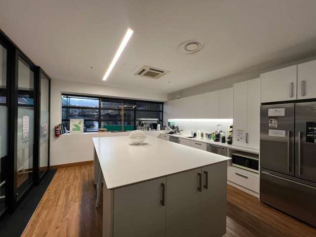 9 Francis Place Te Aro_2