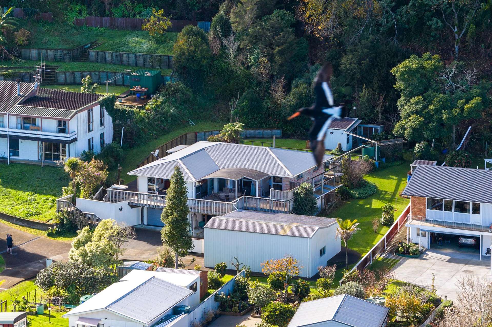 724 Tararu Road Thames_0