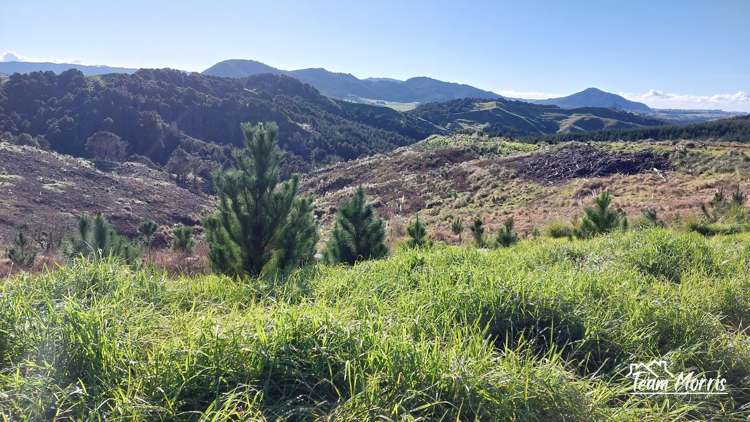 Lot 8/47 Kamea Place_3