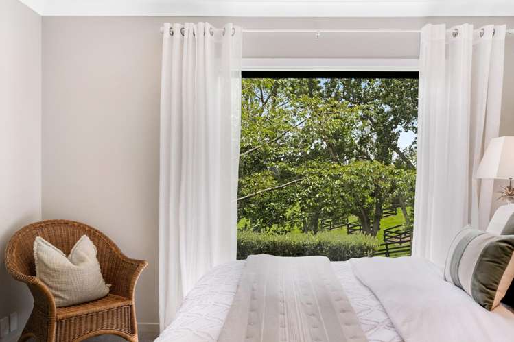 18 Ara-Kotinga Whitford_38